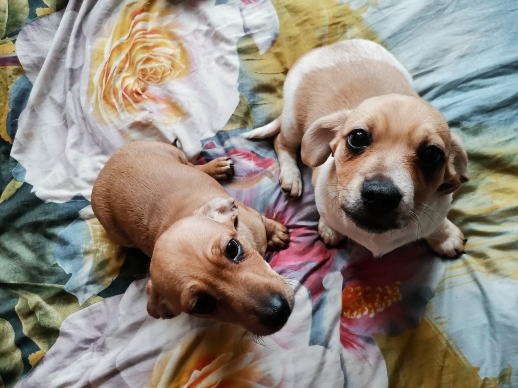 Autors: ilustratīvs foto