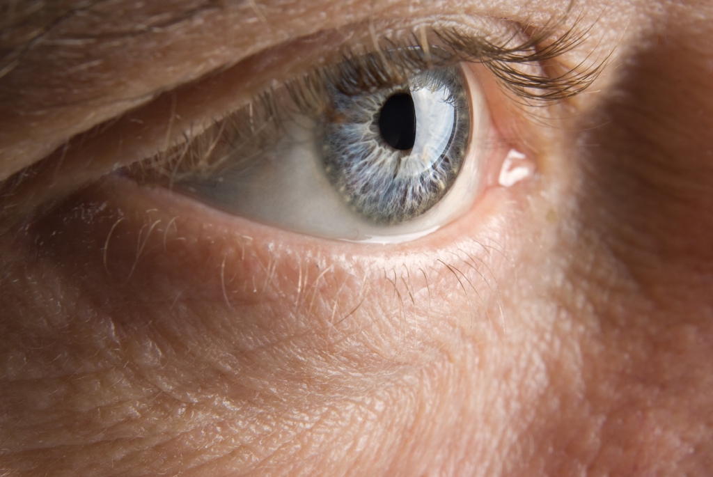 Autors: publicitātes foto