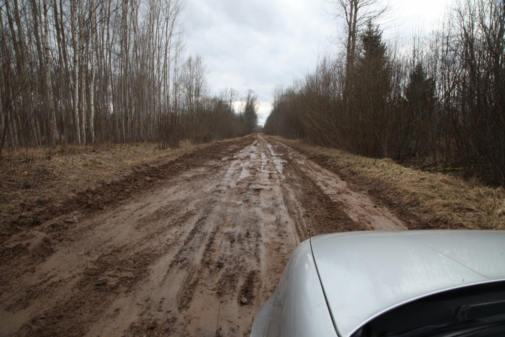 Nesen greiderēts! Tā pirmdien, 9.martā, izskatījās tautā par Pļavnieku ceļu sauktais valsts autoceļš, kurš atrodas starp Stradu un Stamerienas pagastu. Grants seguma ceļa greiderēšanai jēga ir tad, ja segums ir kaut cik nožuvis un ja uz brauktuves vēl ir saglabājusies grants. 	
Autors: Gatis Bogdanovs