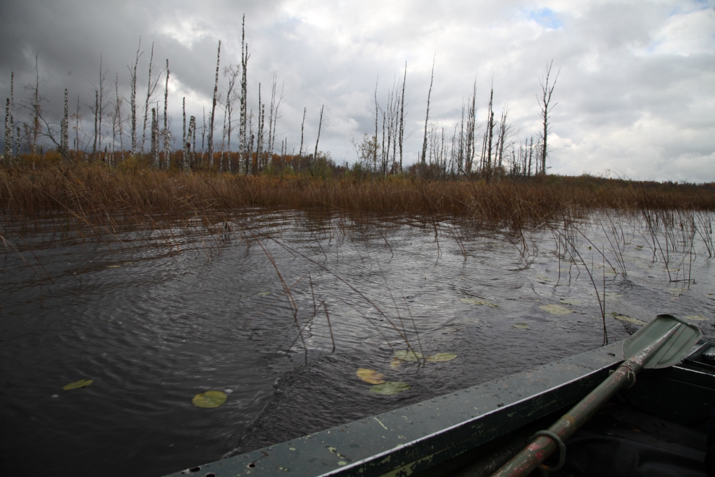 Autors: no “Dzirksteles” arhīva