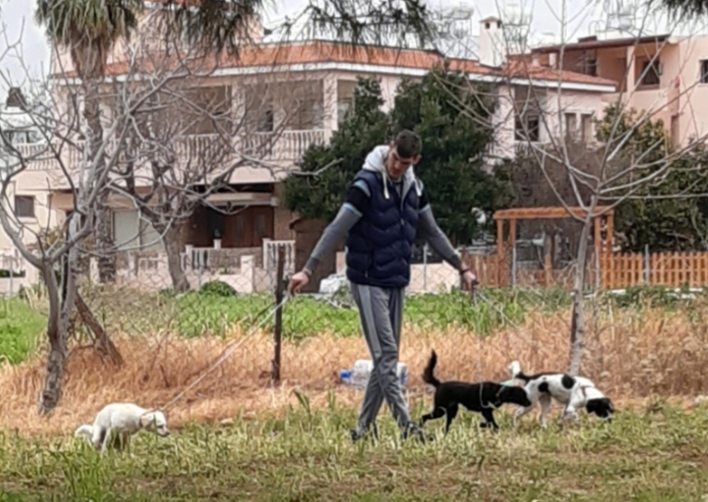 Autors: Iveta Krūmiņa