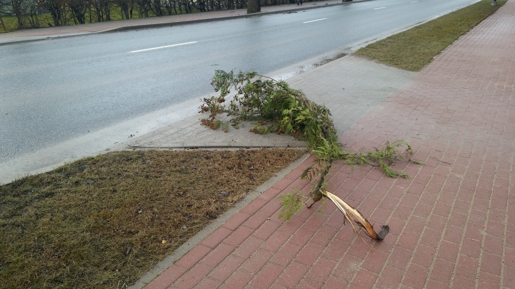 Autors: Pārsla Konrāde