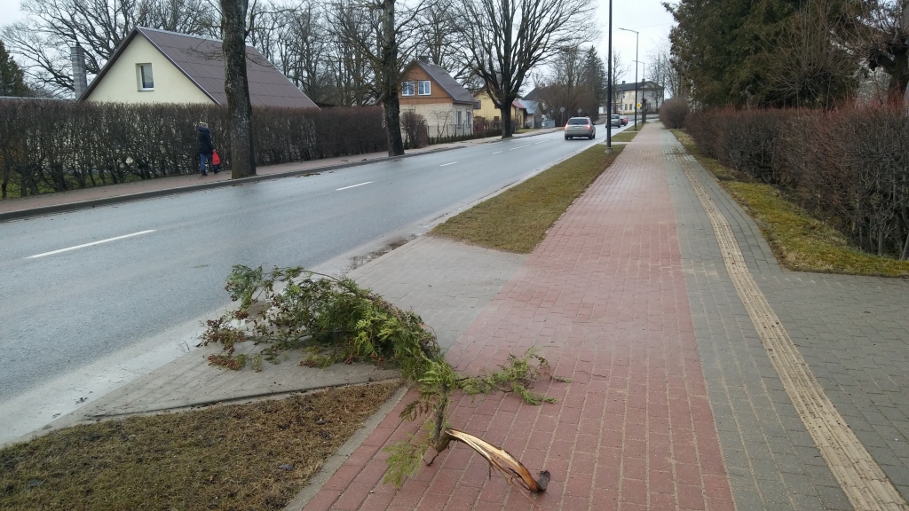 Autors: Pārsla Konrāde