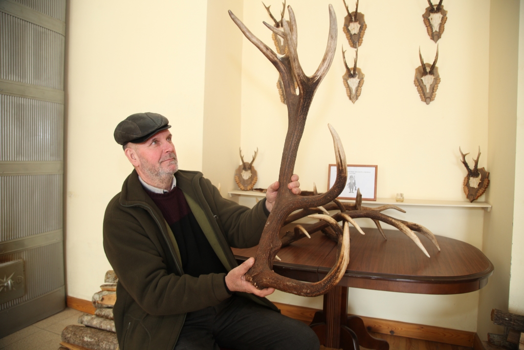 Andris Graumanis māk pamatoti izskaidrot, kurš staltbriedis saudzējams, kurš medījams, demonstrējot to uz pēdējā laikā atrastajiem ragiem. 
Autors: Gatis Bogdanovs