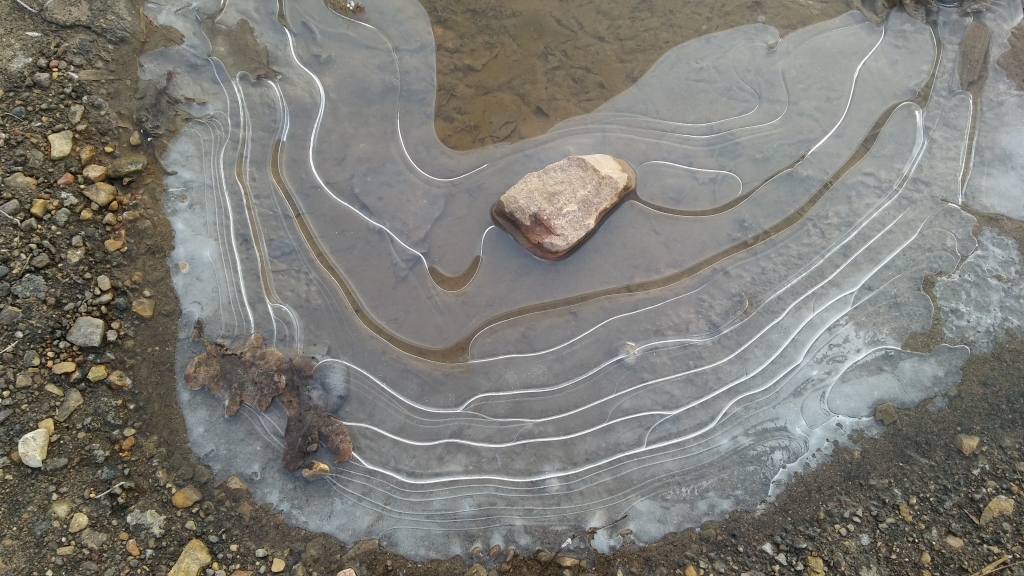 Autors: Pārsla Konrāde