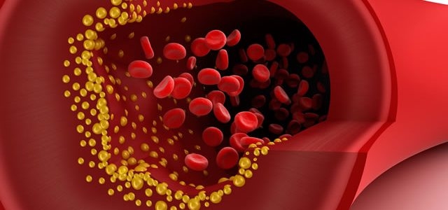 Autors: no interneta