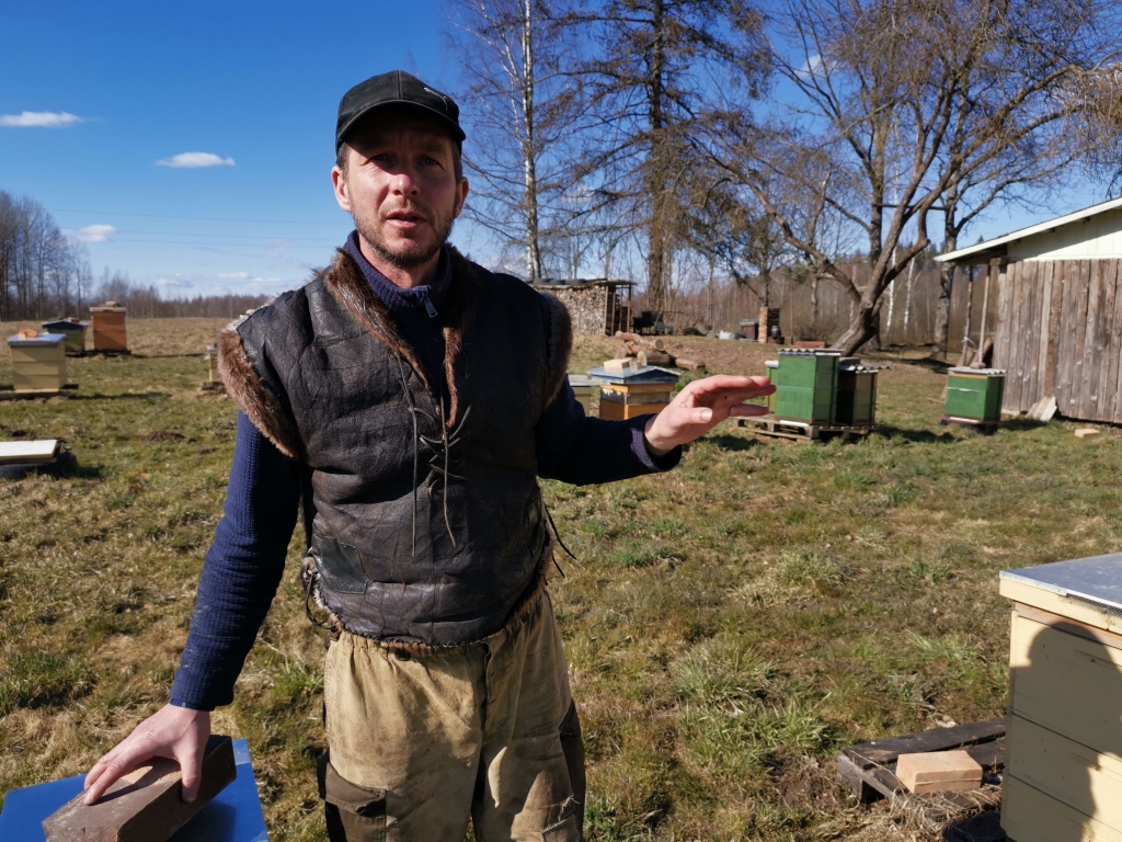 Par aizvadīto ziemu biškopis Mareks Brokāns ir priecīgs – bites labi pārziemojušas. Šobrīd visas bites ir pamodušās un jau audzē jauno bišu paaudzi.         
Autors: Viktorija Slavinska-Kostigova
