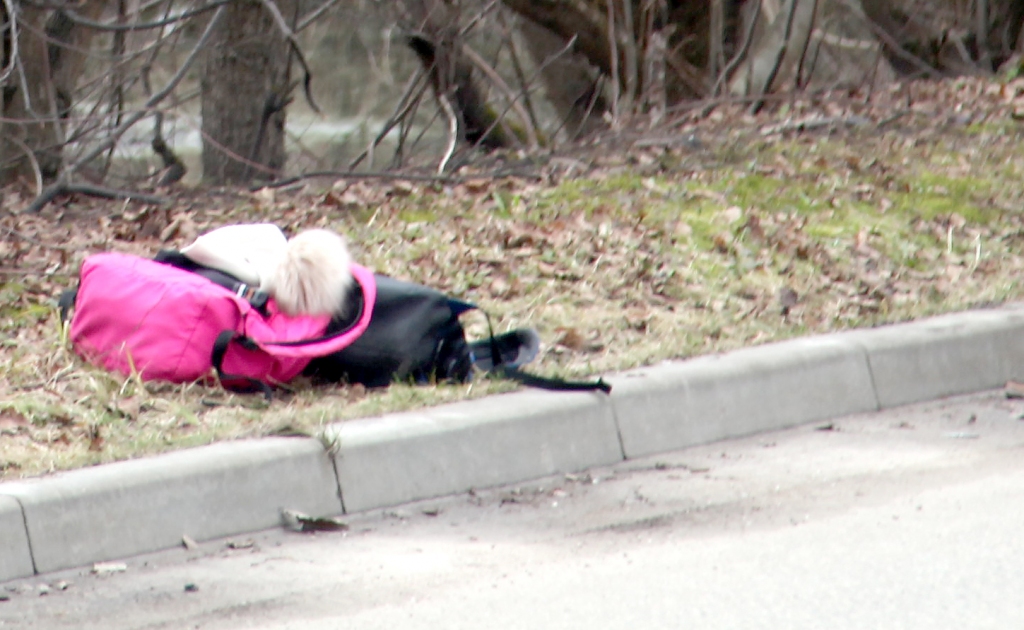 Autors: ilustratīvs foto no 