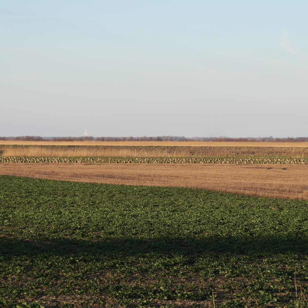 Autors: ilustratīvs foto