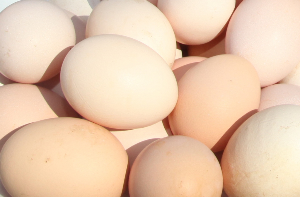 Autors: Gatis Bogdanovs