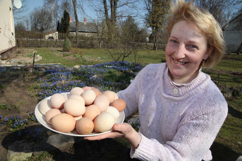 Šīs Lieldienas saistībā ar izsludināto ārkārtas situāciju valstī, visticamāk, katrā mājā būs savādākas nekā citos gados. Klusākas, mierīgākas, jo valdība iedzīvotājus saistībā ar vīrusu aicina būt piesardzīgiem, ievērot visus drošības pasākumus, kā arī nebraukt ciemos. Bet tas nenozīmē, ka savas ģimenes lokā svētkus svinēt nedrīkst. Arī gulbeniete Valda Priede krāsos raibu raibas vismaz trīsdesmit olas, kuras viņai sadējušas pašas audzētas vistiņas.   
Autors: Gatis Bogdanovs