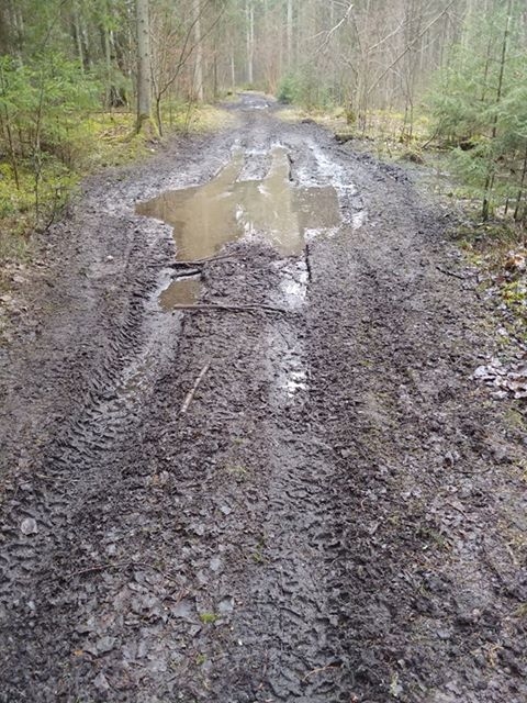 Autors: Peters Petruks