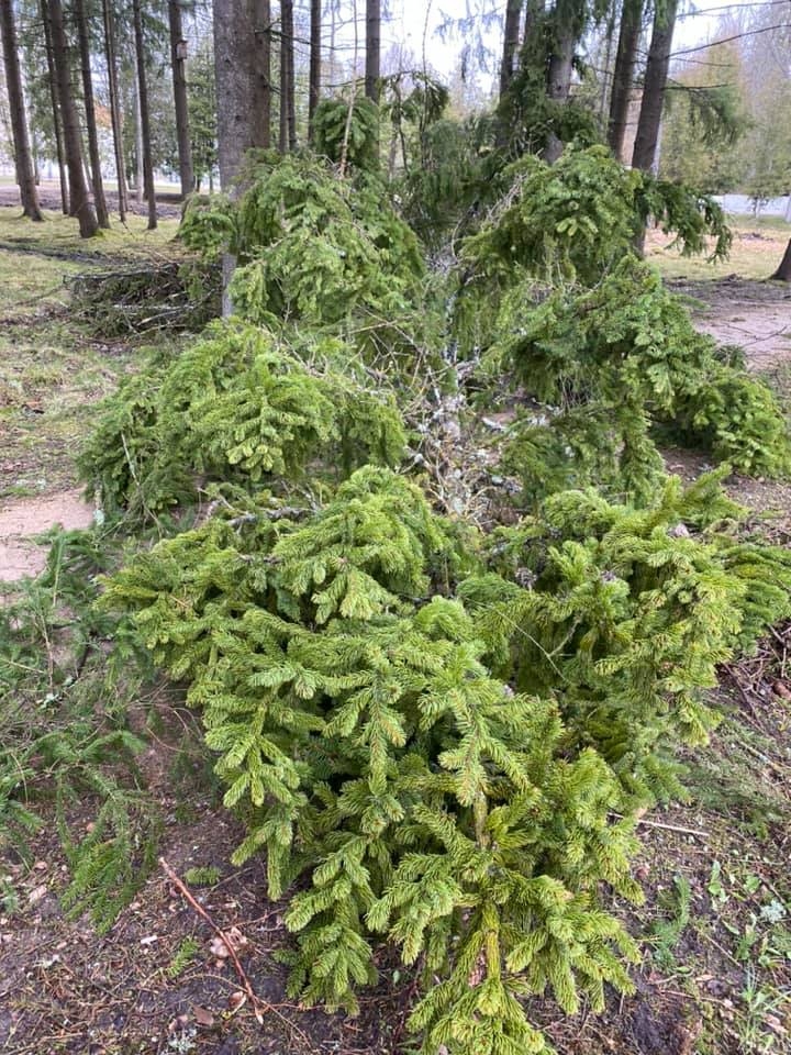 Autors: Sandra Volodina