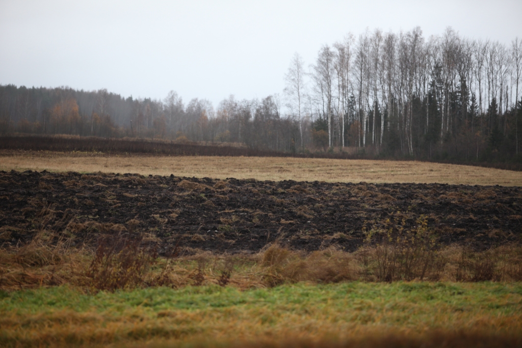 Autors: Gatis Bogdanovs