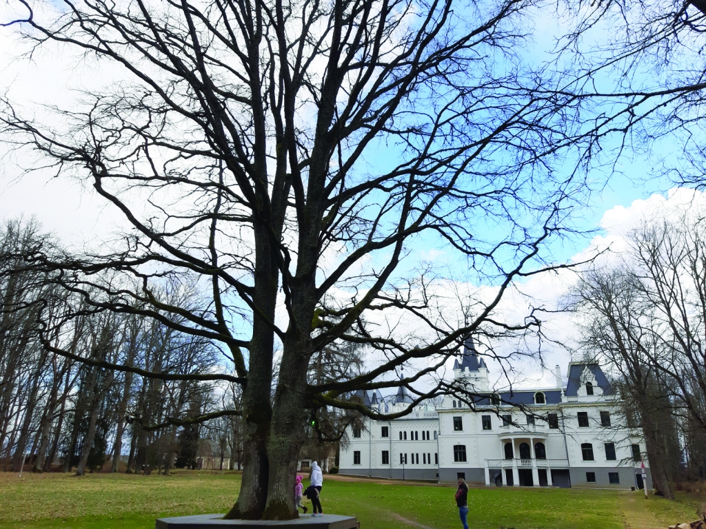 Autors: Ginta Alberte