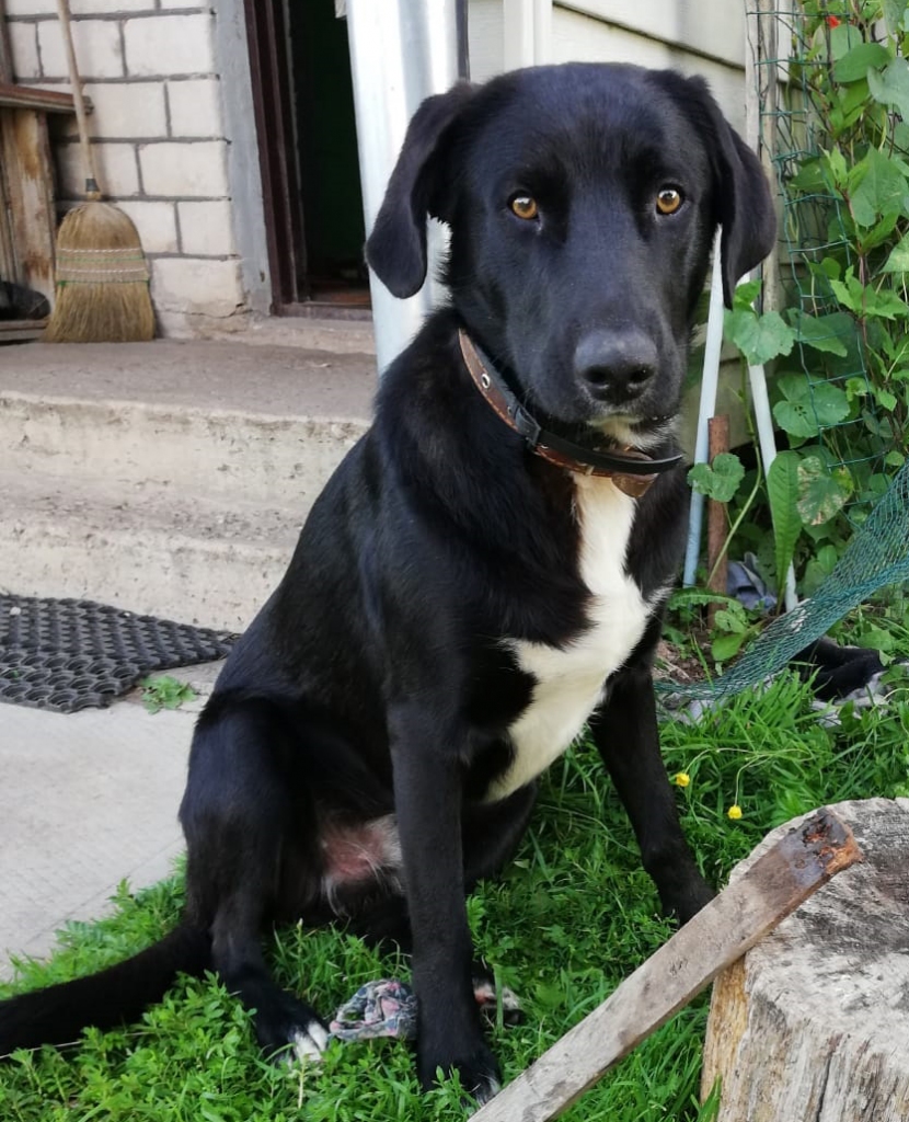 Autors: no privātā arhīva