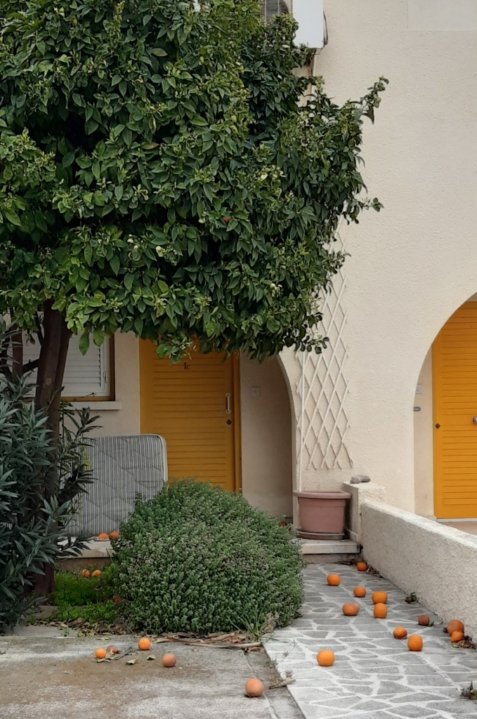 Autors: Iveta Krūmiņa