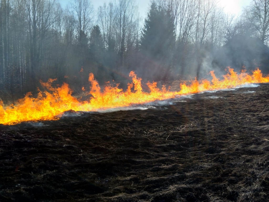 Autors: no VUGD arhīva