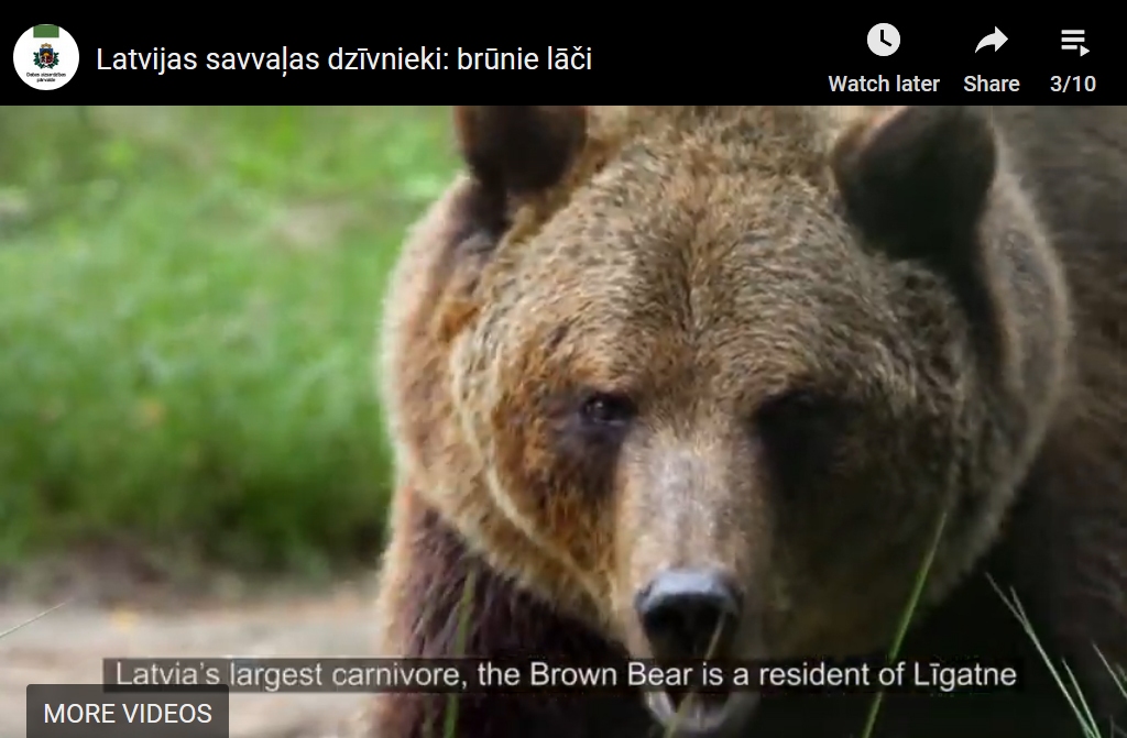 Autors: ligatnesdabastakas.lv