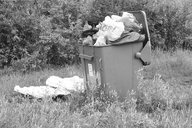 Autors: DAINIS ĢELZIS