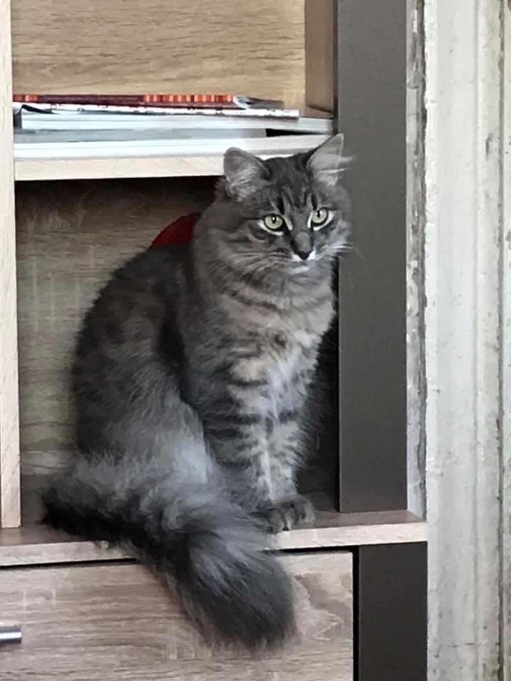 Autors: no privātā arhīva