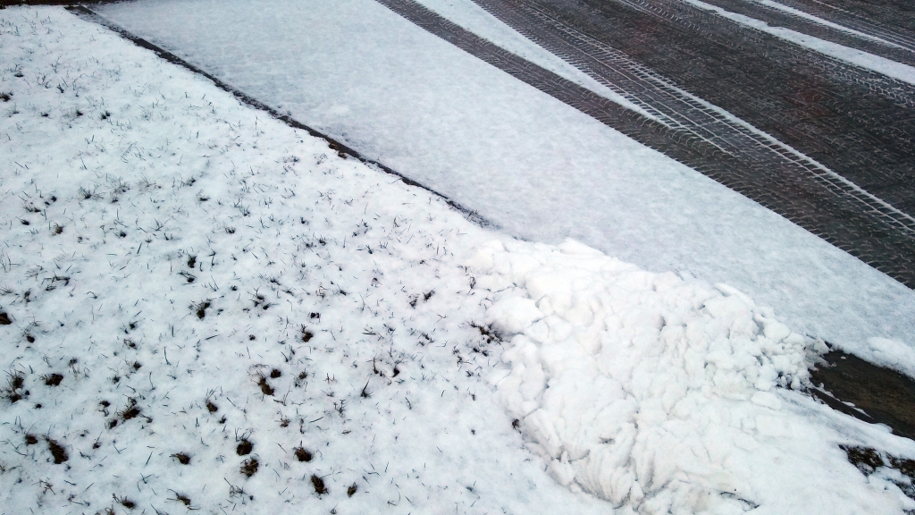 Autors: ilustratīvs foto: Pārsla Konrāde