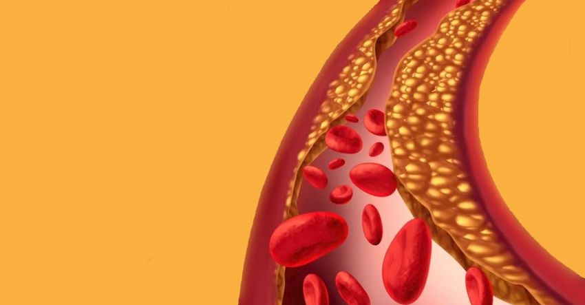 Autors: no interneta