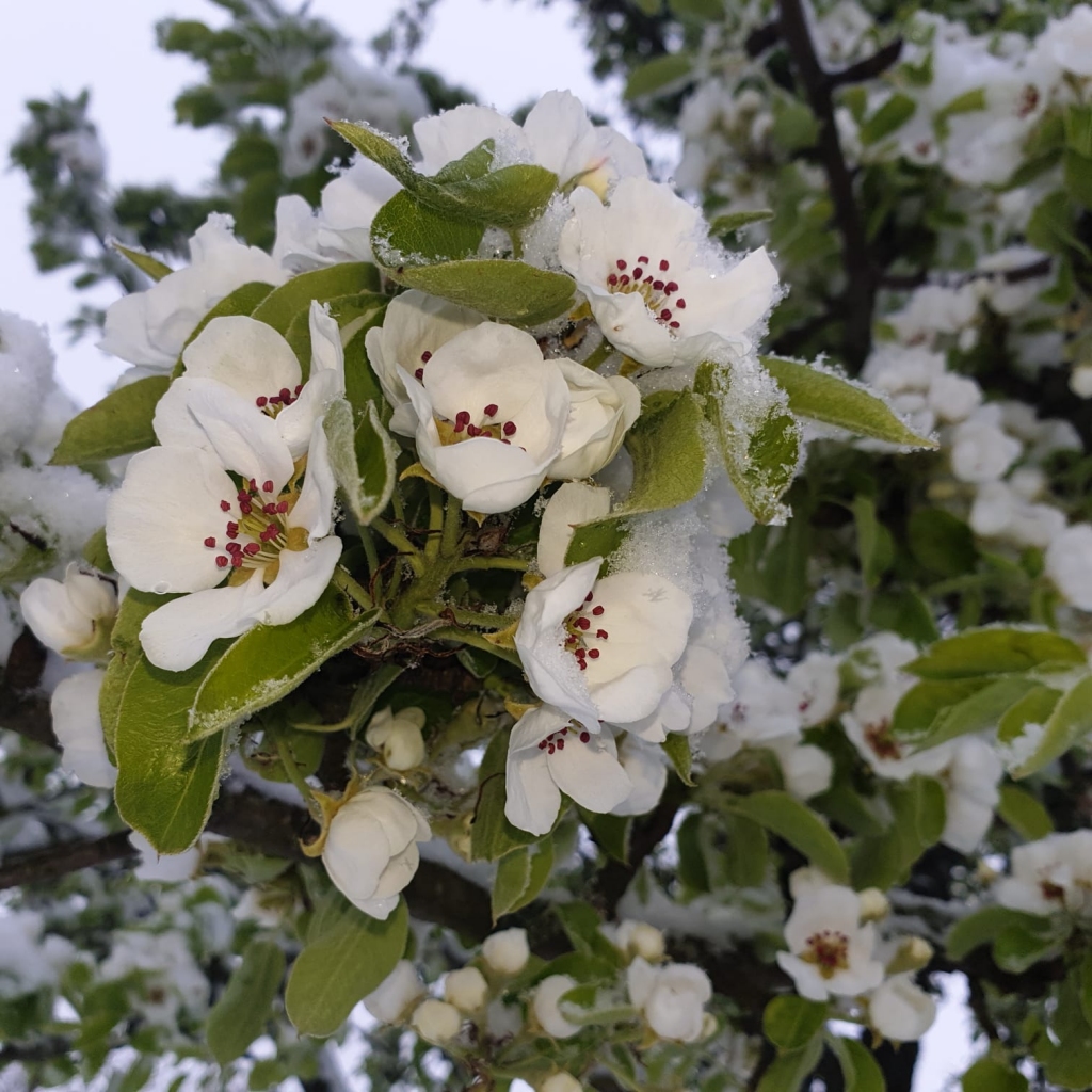 Autors: Gunita Ābeltiņa