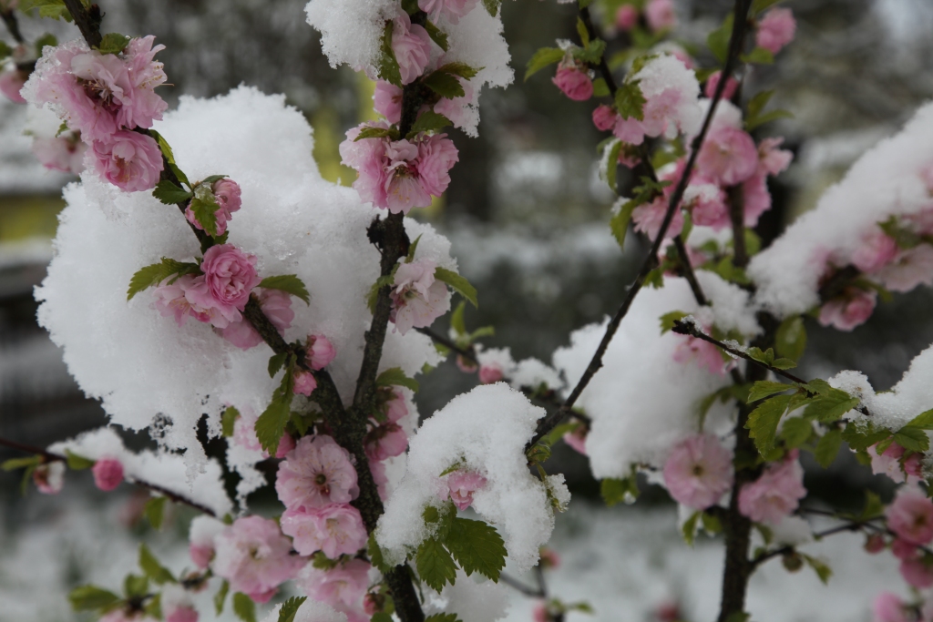 Autors: Gatis Bogdanovs