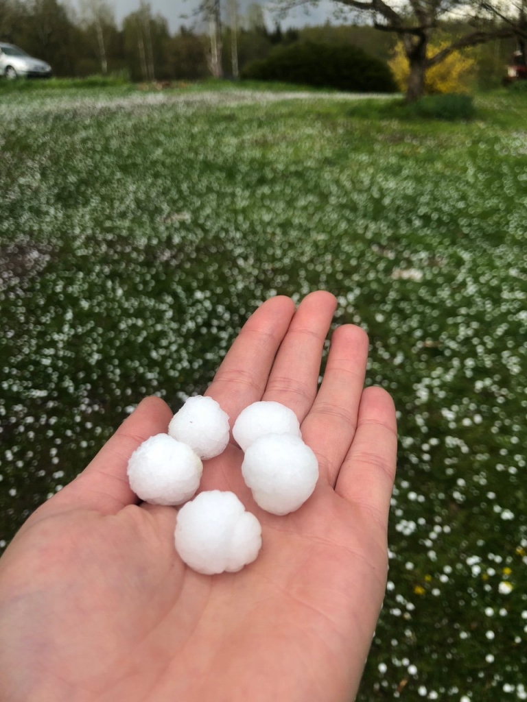 Autors: Marta Katrīna Anže 