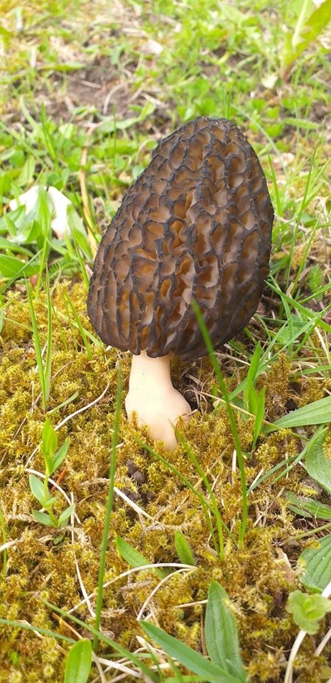 Autors: Daiga Deksne