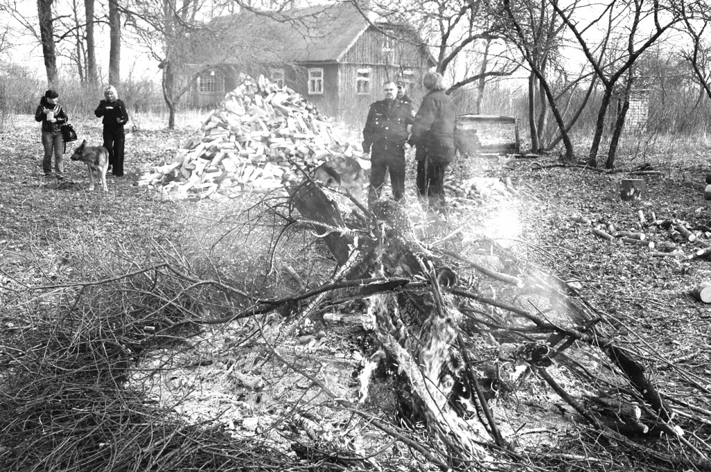 Autors: DAINIS ĢELZIS