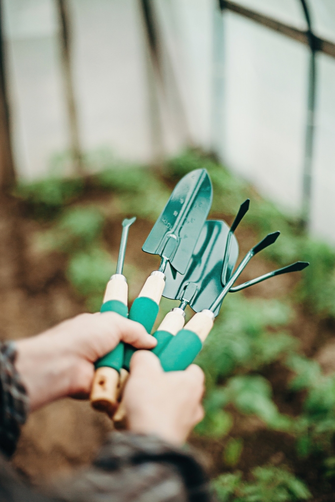 Autors: publicitātes foto