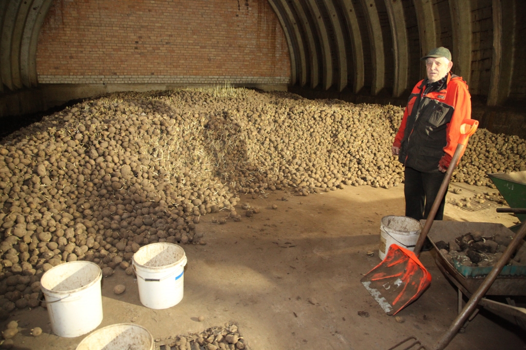 Galgauskas pagasta kooperatīvā sabiedrība „Kopdarbs” kā katru pavasari iestādījusi kartupeļus 11 hektāru platībā. Diemžēl daļa kooperatīva izaudzētās kartupeļu ražas nu jau divus mēnešus netiek piegādāta skolām, kurās mācības nenotiek un arī pusdienas netiek gatavotas. „Līdz brīdim, kad valstī tika izsludināta ārkārtas situācija COVID-19 pandēmijas dēļ, divas reizes nedēļā tika piegādāti kartupeļi skolām, bērnudārziem un sociālās aprūpes centriem. Katru nedēļu no pagraba tika izvestas apmēram divas tonnas pārtikas kartupeļu. Lai gan līgums ir spēkā līdz laikam, kad būs jauna kartupeļu raža, tagad ir radušies neparedzēti apstākļi, tāpēc citi tajā iekļautie nosacījumi nav spēkā un neviena puse par to nav atbildīga. Tas nozīmē, ka kooperatīvam rodas zaudējumi,” stāsta „Kopdarbs” vadītājs Kārlis Matīss.       
Autors: Gatis Bogdanovs