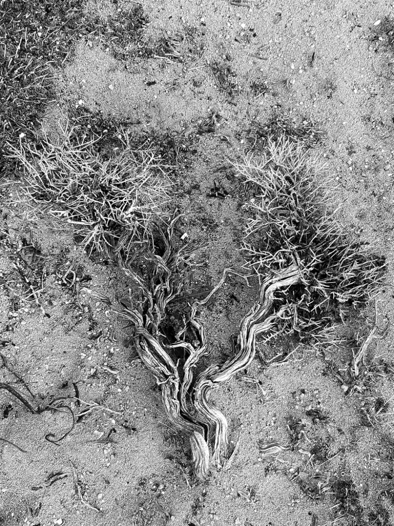 Autors: Iveta Krūmiņa