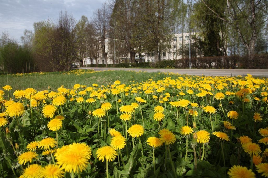 Autors: Gatis Bogdanovs