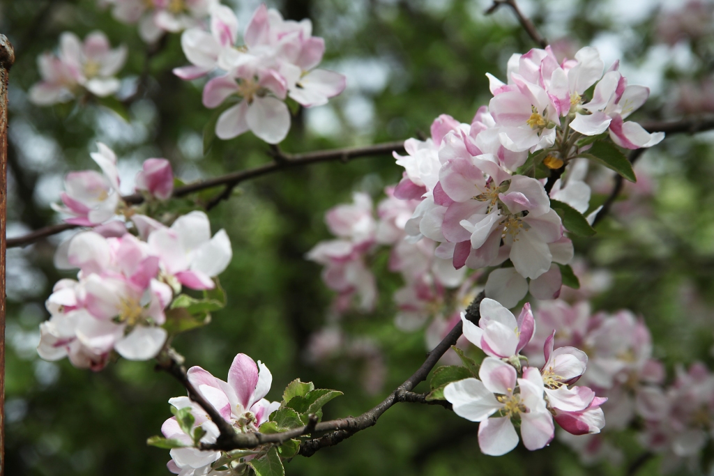 Autors: Gatis Bogdanovs