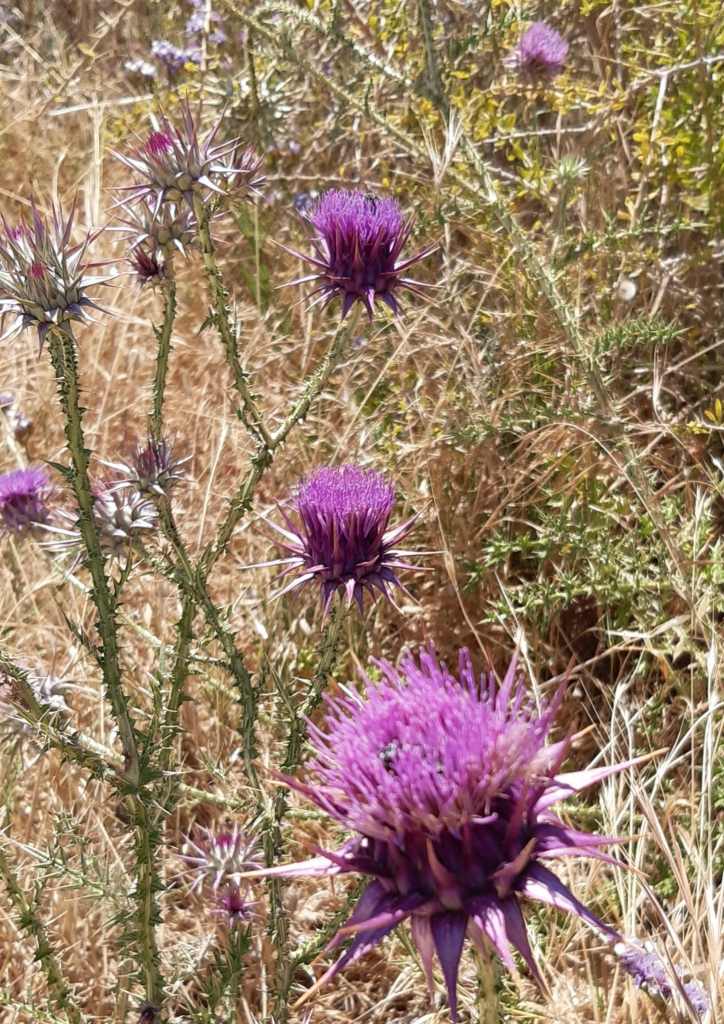 Autors: Iveta Krūmiņa