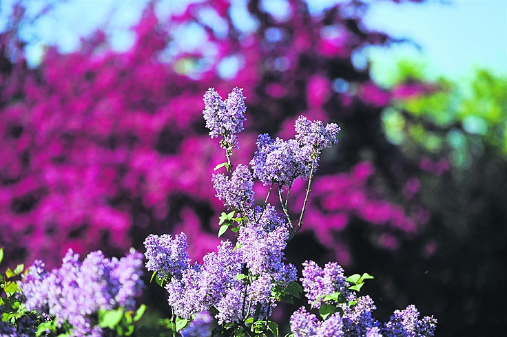 Autors: Eva Pričiņa