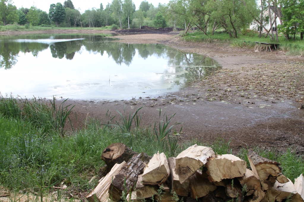 Pašlaik sakārto Druvienas muižas dīķi, nodrošinot dīķa pieejamību un daudzveidīgu tā izmantošanu.   
Autors: Gatis Bogdanovs