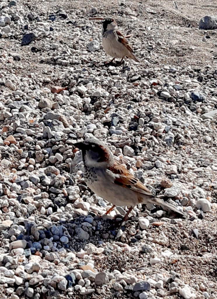 Autors: Iveta Krūmiņa