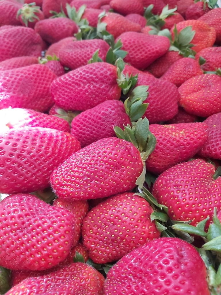 Autors: Pārsla Konrāde