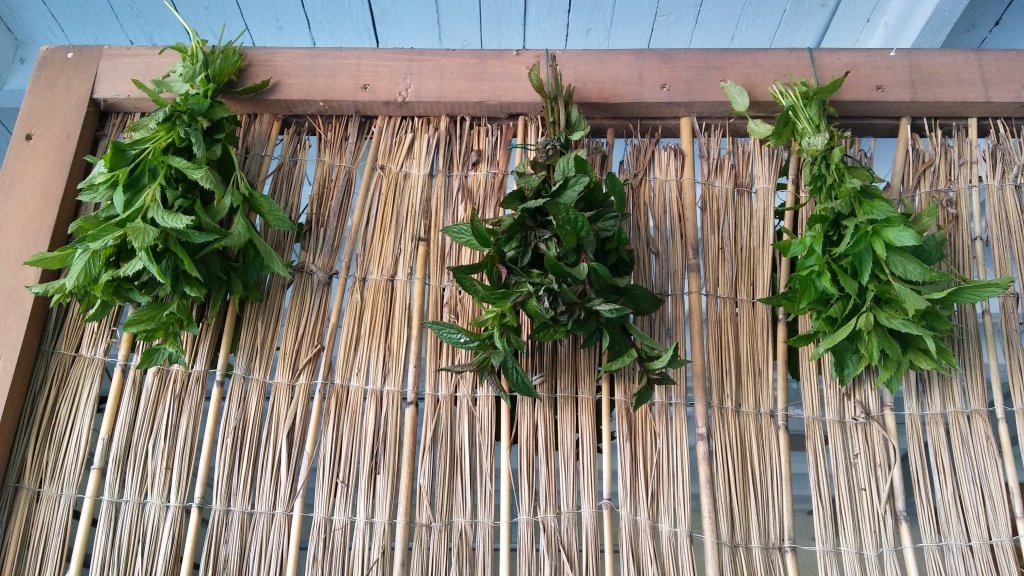 Autors: Pārsla Konrāde