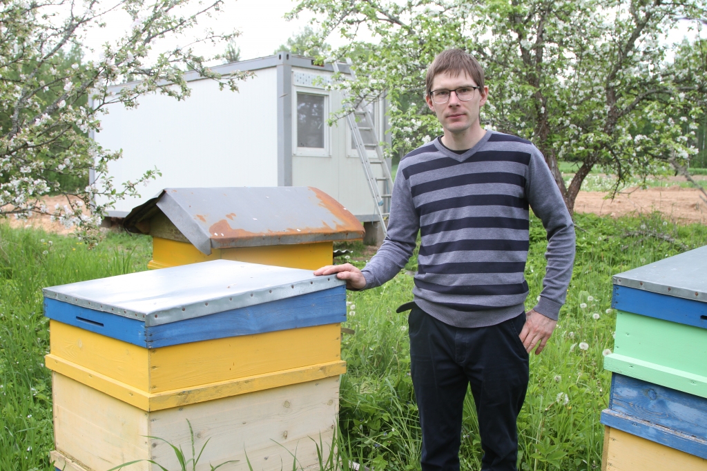 Bitenieks Māris Šteinbergs ar medus iegūšanu nodarbojas piekto gadu un ir pārliecinājies, ka tas ir fiziski smags darbs. “Man gan nav tik daudz bišu saimju, bet, ja būtu simts saimes, tad gan būtu smagi. Man ir Latvijas stāvstropi, kurus viens pats nemaz nevar pacelt. Aicinu palīgā brāli, ja man tie kaut kur jāpārved,” saka Māris.	
Autors: Gatis Bogdanovs