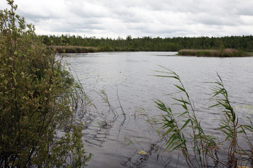 Autors: no “Dzirksteles” arhīva
