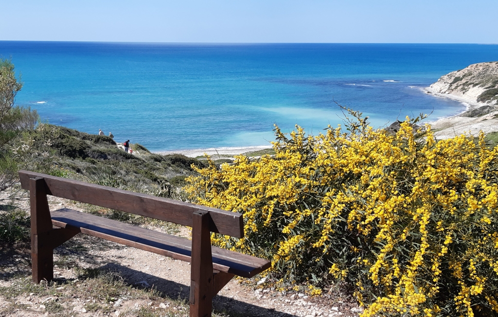 Autors: Iveta Krūmiņa