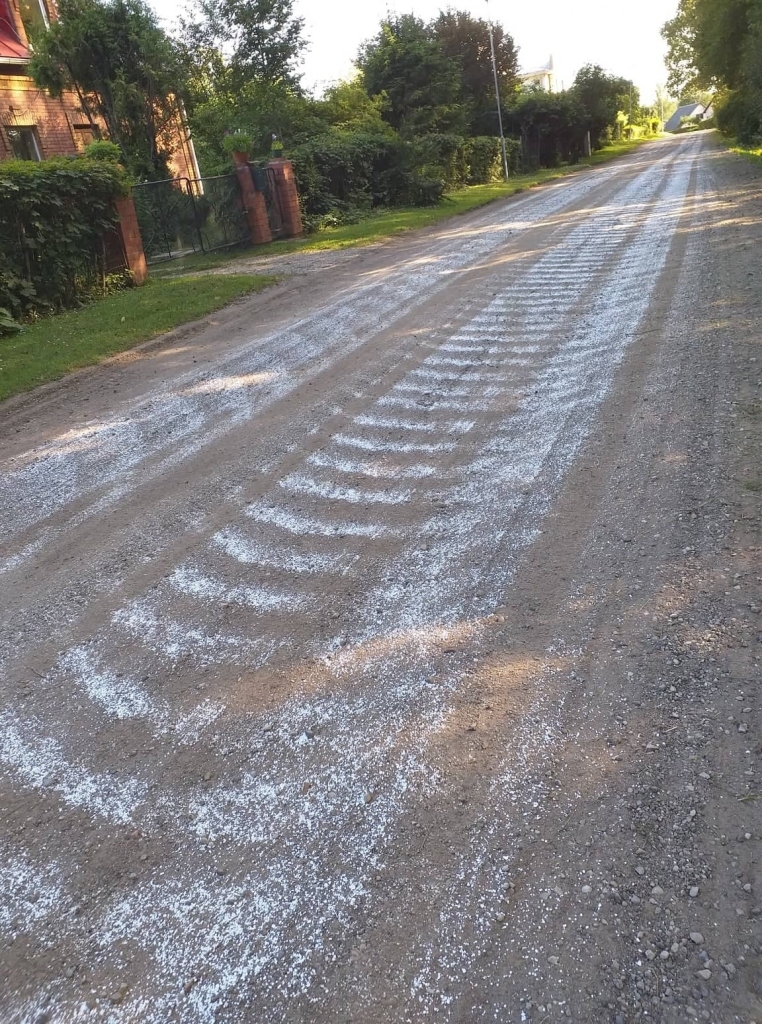 Pagājušajā gadā arī Gulbenē Litenes, Stacijas un Tilta ielas tika apstrādātas ar pretputekļu līdzekli. 
Autors: no “Dzirksteles” arhīva