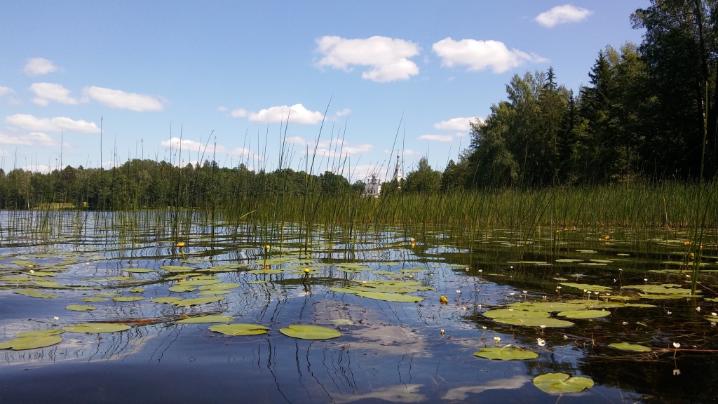 Autors: Pārsla Konrāde