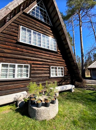 Imanta Ziedoņa muzejs.
Autors: publicitātes foto