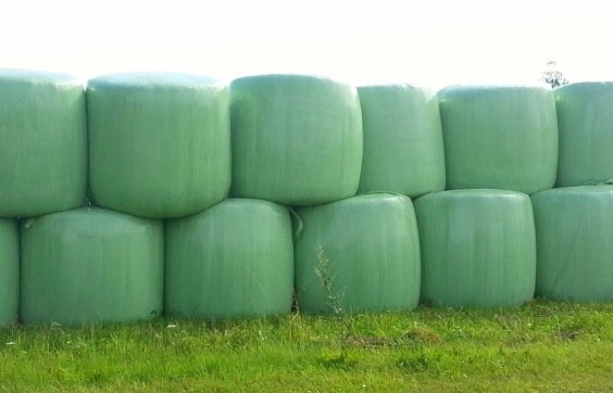 Autors: no interneta